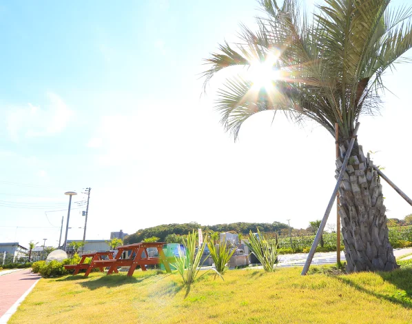 葵ホールディングス