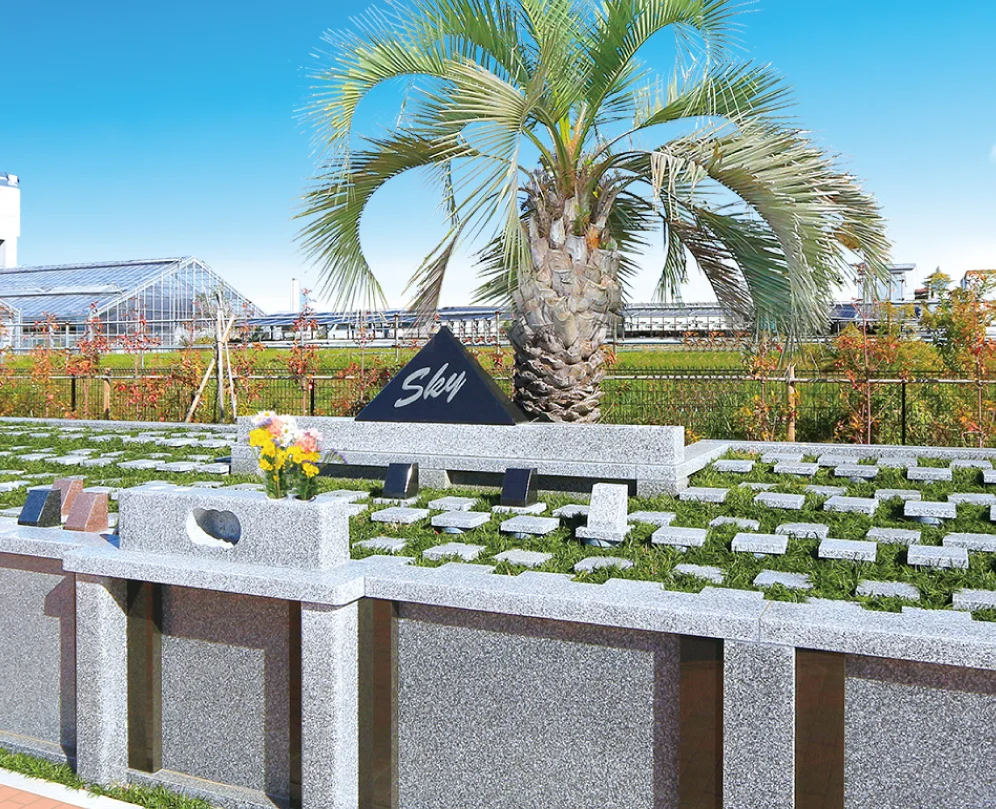 〈樹木葬〉「SKY（スカイ）」